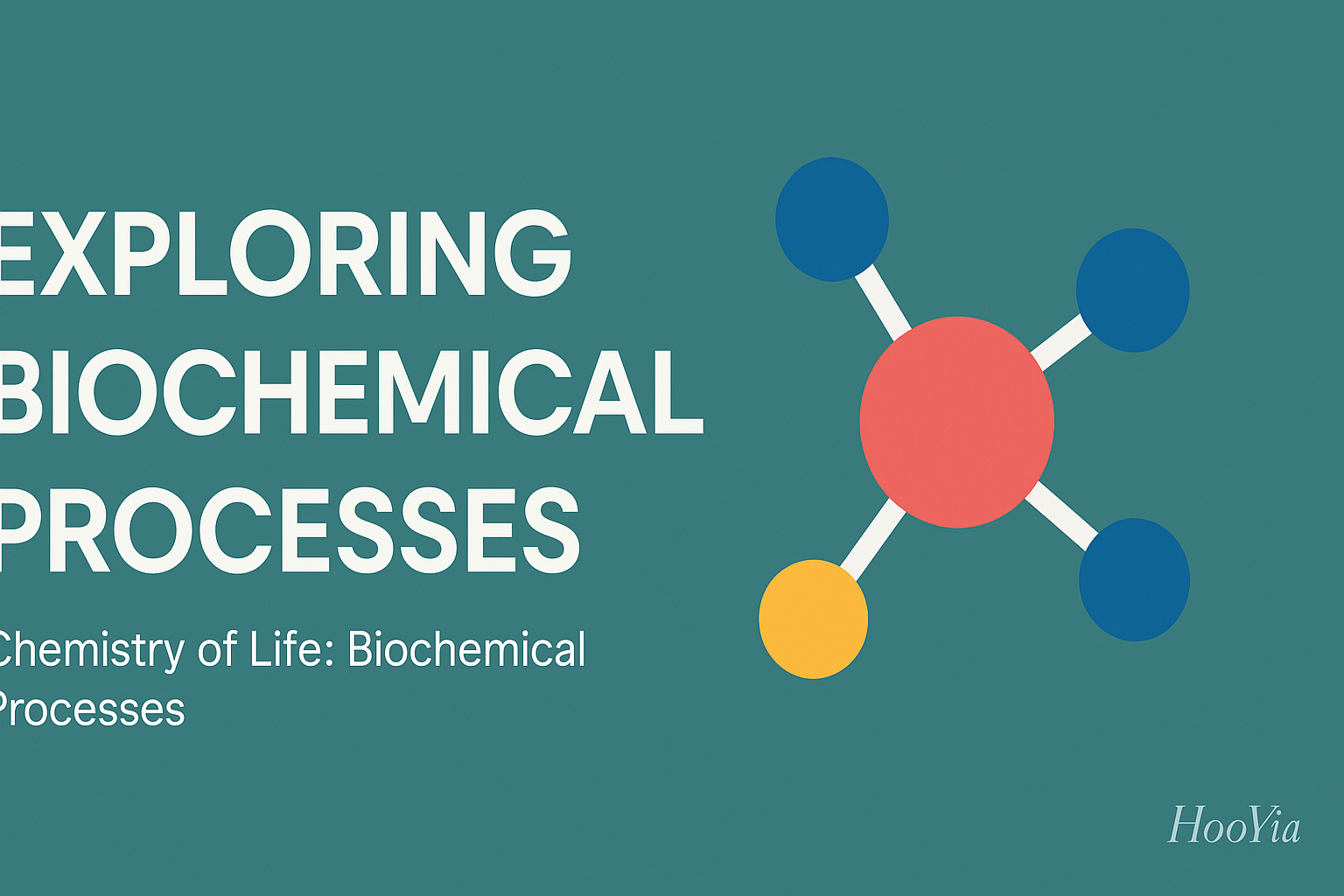 Exploring Biochemical Processes